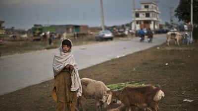 An Afghan refugee stands next to sheep that he and his father haven’t been able to sell, on the Muslim holiday of Eid al-Adha, or Feast of Sacrifice, on the outskirts of Islamabad, Pakistan. Muhammed Muheisen / AP