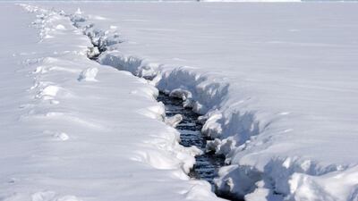 Global warming brings up a debate about the ownership of the Arctic. Its seabeds will become more accessible as ice melts, as might the resources they are believed to contain. Louise Murray / Visuals Unlimited / Corbis