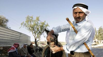 A Palestinian villager, shows the teeth of a donkey for sale at the weekly market in the West Bank village of Jabaa near Jenin city. Mohammed Ballas / AP Photo