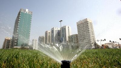 Abu Dhabi uses the treated effluent to irrigate public parks and city landscaping. Sammy Dallal / The National