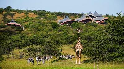 Mahali Mzuri and its wildlife. Jack Brockway / Virgin Limited Edition