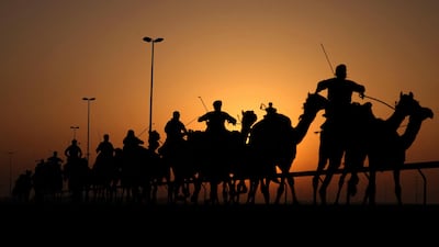 Most race days begin at 6am, and visitors are advised to arrive early. AFP