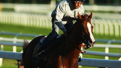 Teamwork between Victor Espinoza and California Chrome will be crucial at Belmont Park. Al Bello / Getty Images