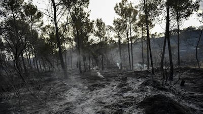 Smoke still rises from the scorched landscape burnt by forest fires near the small village of Artajona, around 40 kilometres from Pamplona northern Spain. Alvaro Barrientos / AP Photo