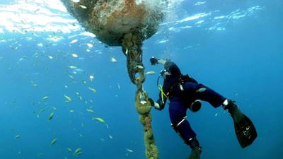 The US naval exercises will target the Arabian Gulf, the Red Sea, the Gulf of Aden and the Gulf of Oman.