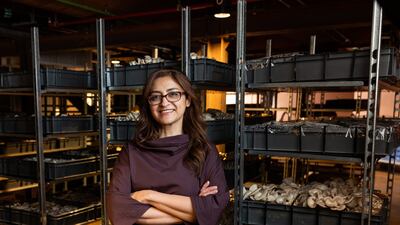 UAE entrepreneur Dima Al Srouri has taken over a mushroom nursery from the Netherlands pavilion and will continue the production of mushrooms and mycelium products in Dubai. Photo: Netherlands Pavilion Expo 2020 Dubai
