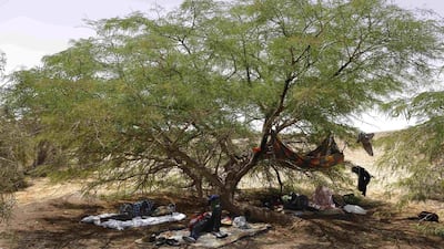 “We cannot continue living in a cage in the desert, with no release date and no judicial review,” migrant activists said in a statement. Finbarr O’Reilly/Reuters