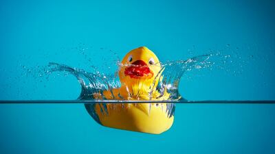 Oceanographers have tracked the movement of rubber ducks in the ocean.