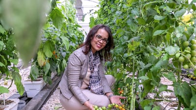 Dr Ismahane Elouafi, director general of the Dubai-based International Centre for Biosaline Agriculture, is a pioneer in dry agriculture, the practice of growing food with little water use. Victor Besa for The National