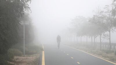 Cyclists enjoy the cool conditions at Al Qudra Cycle track in Dubai. Chris Whiteoak / The National