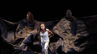 Courtesy NYU Abu Dhabi