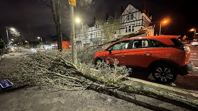 A fallen tree branch on a car in Belfast. PA