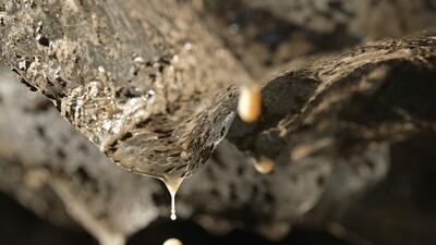 Water rich in sediment drips from ice inside the melting Longyearbreen glacier during a summer heat wave on Svalbard archipelago near Longyearbyen, Norway. Getty Images