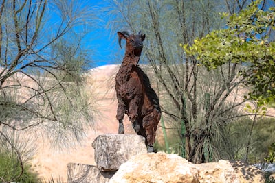 A model Arabian taher on display, representing the region's wildlife. Victor Besa / The National