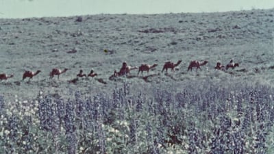 The Flowers Stand Silently, Witnessing by Greek-Lebanese filmmaker Theo Panagopoulos will screen four times. Photo: National Library of Scotland