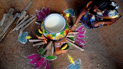 A Hindu devotee cooks Pongal, a traditional rice dish, at a temple in Colombo. AFP