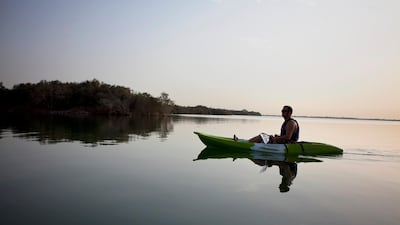 Kayakers navigate the cool early-morning waters between mangrove islands in Abu Dhabi. (Silvia Razgova/The National)