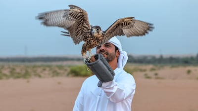Saeed Suhail Al Muharrami has been practicing falconry for 20 years. All photos: Victor Besa / The National
