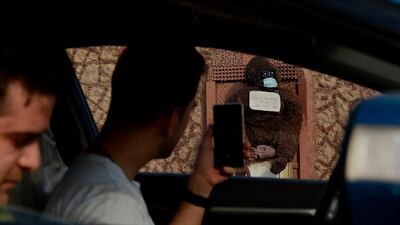 A motorist stops to take a picture with his cell phone of a stuffed gorilla wearing a face mask with a sign reading in Arabic "I, the gorilla, wore a mask, why don't you wear (one)?", placed by a homeowner outside to encourage people to wear protective gear, in Hamad Town, south of Bahrain's capital Manama. AFP