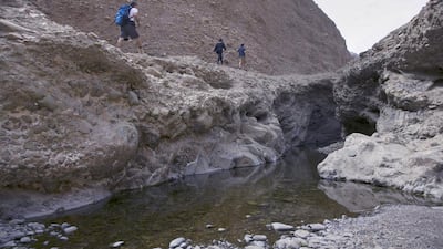 Left to right, the geologist Maral Chreiki, conservation and operation manager of Wadi Wurayah National Park hikes through the area in March. After a period closed to the public to let the park’s delicate ecosystems recover from human intervention, it is set to reopen. Silvia Razgova / The National