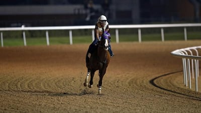 A work rider rides California Chrome on Tuesday ahead of Saturday's 2015 Dubai World Cup at Meydan Racecourse. Ali Haider / EPA