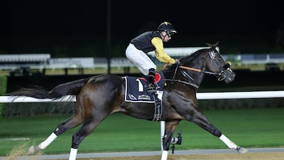 Tadhg O'Shea guides Tuz to win the Dubawi Stakes at Meydan Racecourse in March. The eight year old is drawn in Gate 5 of the Group 1 Dubai Golden Shaheen on Dubai World Cup night. Pawan Singh / The National