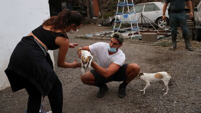 A man hands a dog to a woman as people are evacuated. Reuters