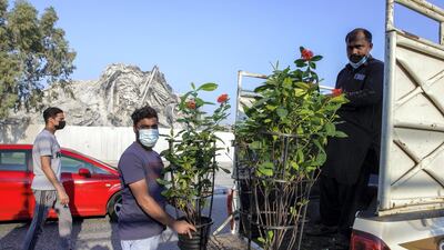 Traders at the plant souq have been assured they can move to the new facility.