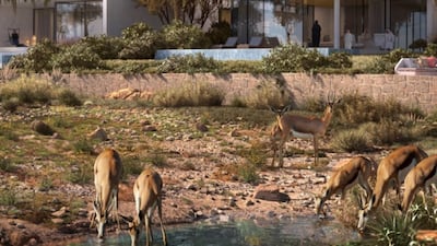 A first glimpse of Expo City Dubai's Expo Valley. Photo: Expo City Dubai