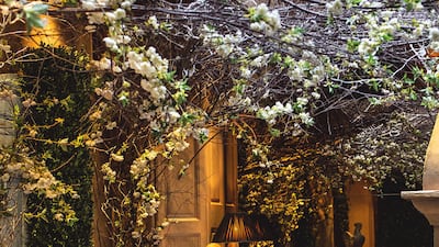 Clos Maggiore, England. Courtesy Clos Maggiore