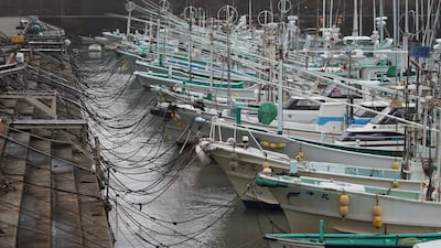 Fishing boats are anchored at a port in town of Kiho. AP