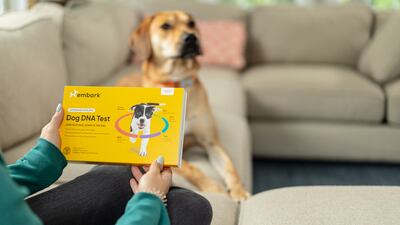 Embark Veterinary is a genetics start-up that seeks to increase dog lifespans by three years toward the end of this decade. Courtesy: Embark Veterinary