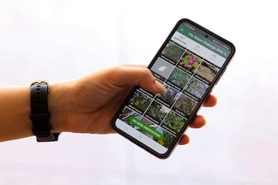 The iNaturalist app. Chris Whiteoak / The National