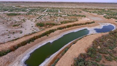 A dry canal full of salt in the area of Siba in Basra. AP