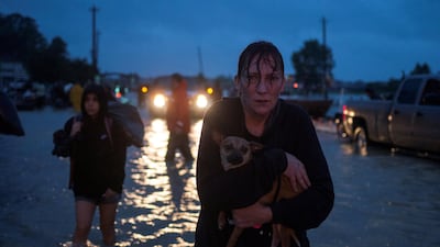 A woman holds her dog as she arrives to high ground after evacuating her home due to floods in Houston. Reuters