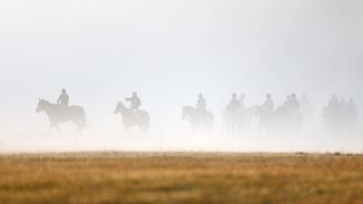 Thoroughbred racehorses attend an early morning training session prior to the Qatar Prix de l’Arc de Triomphe horse race in Chantilly, France. Benoit Tessier / Reuters