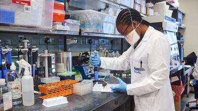 A technician carries out Covid-19 antibody neutralisation tests at the African Health Research Institute in Durban, South Africa. Bloomberg