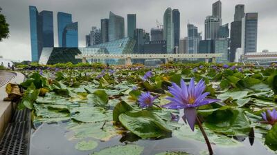Hinrich Bäsemann / dpa / Corbis