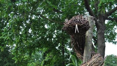 The Chelsea Physic Garden, which was founded by the Worshipful Society of Apothecaries in 1673. Courtesy Nick Bailey