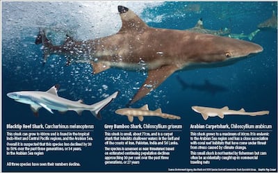 Stan Cooper / The National