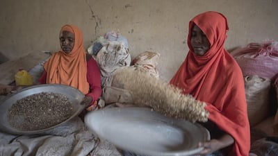 Women sort raw frankincense gum in Burao, Somaliland. Once the resin is collected, women sort the chunks by colour and size.