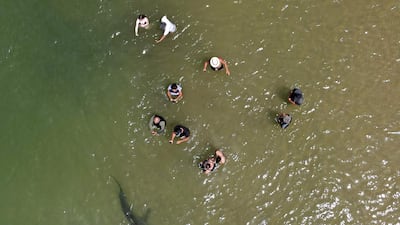 People use their phones and cameras to film a shark swimming past in the shallow Mediterranean Sea water, off the Israeli coastal town of Hadera, north of Tel Aviv. AFP