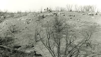 Mark Ruwedel, 'Paramount Ranch Fire #4', 2019. From the series 'LA Fires', 2017-2020. Photo: Mark Ruwedel / Prix Pictet