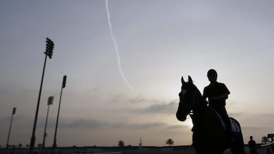 Japanese horse Epiphaneia trains with a work rider on Tuesday at Meydan racecourse ahead of the Dubai World Cup. Ali Haider / EPA