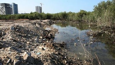 Despite efforts by some officials and residents, mangrove trees are being ripped down along Al Muntasir Road in Ras al Khaimah.