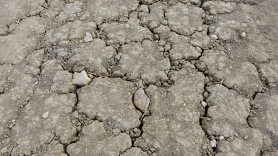 Farmers often struggle to meet the water demands of their crops, leading to reduced yields