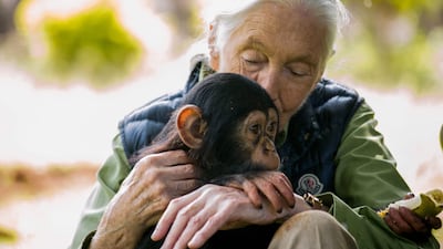 British primatologist Jane Goodall visits a chimpanzee rescue centre on June 9, 2018 in Entebbe, Uganda. AFP