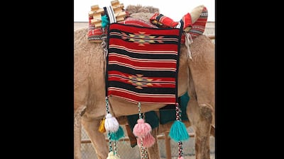 A burnt out area where dozens of families used to live until fires destroyed many homes November 25, 2012 Sittwe, Myanmar. Paula Bronstein / Getty Images