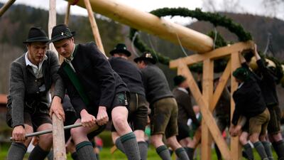 Bavarian highland folk dressed in traditional clothes set up a Maypole in Rottach Egern, Germany. AP