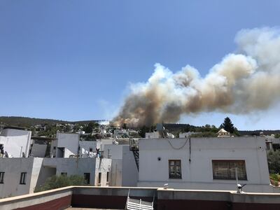 Plumes of smoke from a wildfire rises over a residential area in the holiday resort of Bodrum, Turkey on July 31, 2021. Sevgin Ozkan via Reuters